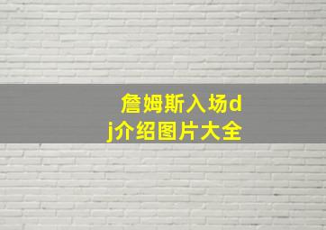 詹姆斯入场dj介绍图片大全