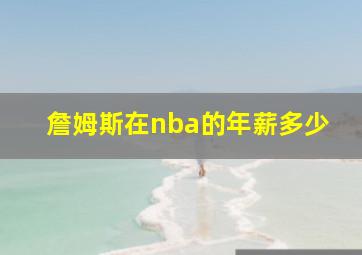 詹姆斯在nba的年薪多少