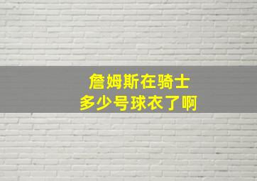 詹姆斯在骑士多少号球衣了啊