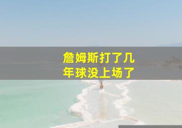 詹姆斯打了几年球没上场了