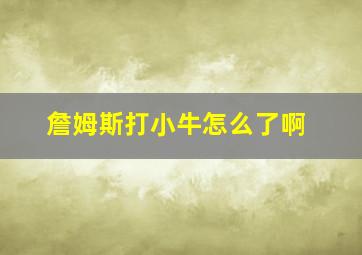 詹姆斯打小牛怎么了啊