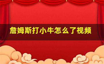 詹姆斯打小牛怎么了视频