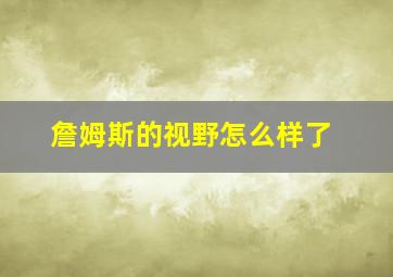 詹姆斯的视野怎么样了