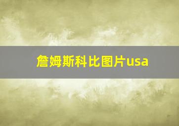 詹姆斯科比图片usa