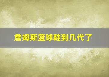 詹姆斯篮球鞋到几代了