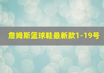 詹姆斯篮球鞋最新款1-19号