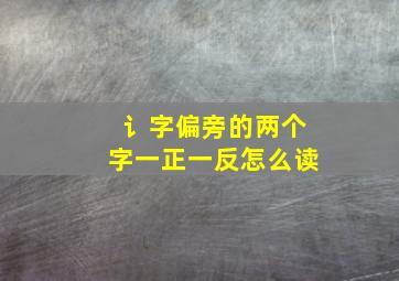 讠字偏旁的两个字一正一反怎么读