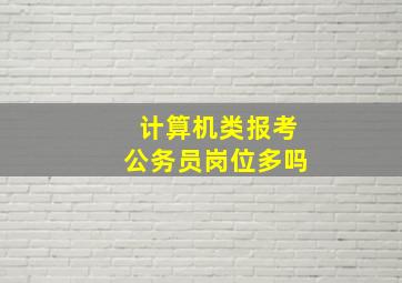 计算机类报考公务员岗位多吗