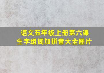 语文五年级上册第六课生字组词加拼音大全图片