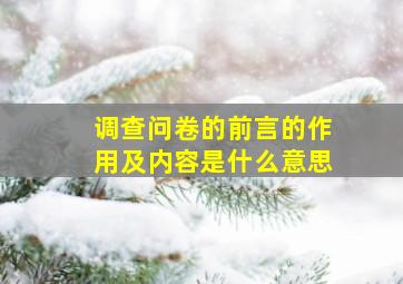 调查问卷的前言的作用及内容是什么意思