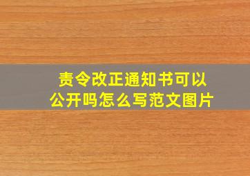 责令改正通知书可以公开吗怎么写范文图片