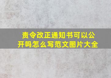 责令改正通知书可以公开吗怎么写范文图片大全