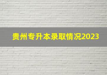 贵州专升本录取情况2023