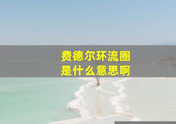 费德尔环流圈是什么意思啊