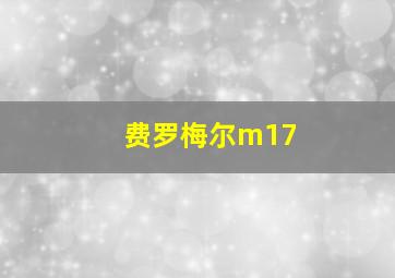 费罗梅尔m17