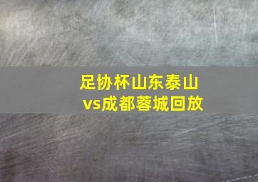 足协杯山东泰山vs成都蓉城回放