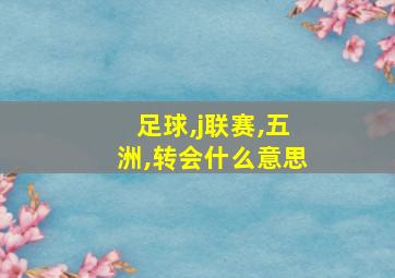 足球,j联赛,五洲,转会什么意思