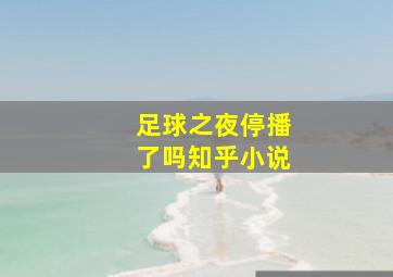 足球之夜停播了吗知乎小说