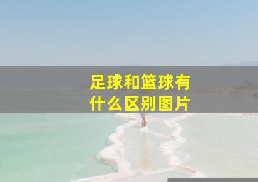 足球和篮球有什么区别图片