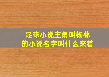 足球小说主角叫杨林的小说名字叫什么来着