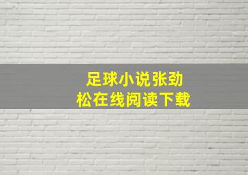 足球小说张劲松在线阅读下载