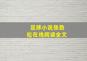 足球小说张劲松在线阅读全文