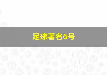 足球著名6号