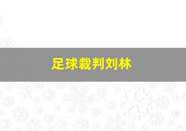 足球裁判刘林