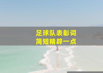 足球队表彰词简短精辟一点