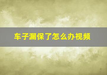 车子漏保了怎么办视频