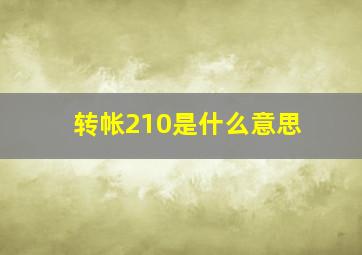 转帐210是什么意思