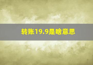 转账19.9是啥意思