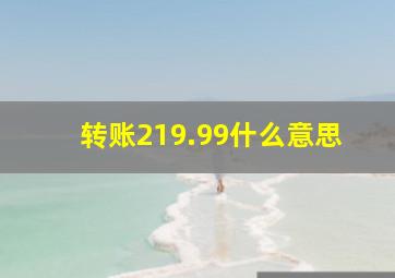 转账219.99什么意思