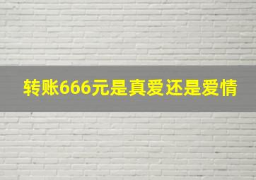 转账666元是真爱还是爱情