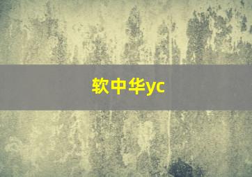 软中华yc