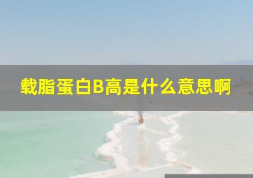 载脂蛋白B高是什么意思啊