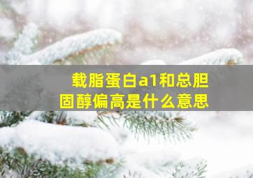 载脂蛋白a1和总胆固醇偏高是什么意思