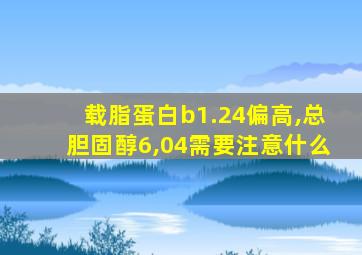 载脂蛋白b1.24偏高,总胆固醇6,04需要注意什么