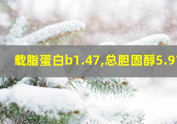 载脂蛋白b1.47,总胆固醇5.91