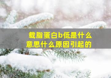 载脂蛋白b低是什么意思什么原因引起的