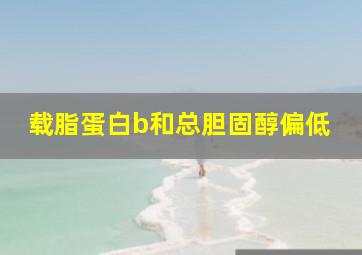 载脂蛋白b和总胆固醇偏低