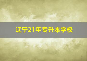 辽宁21年专升本学校