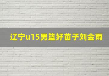 辽宁u15男篮好苗子刘金雨