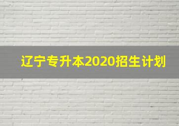 辽宁专升本2020招生计划