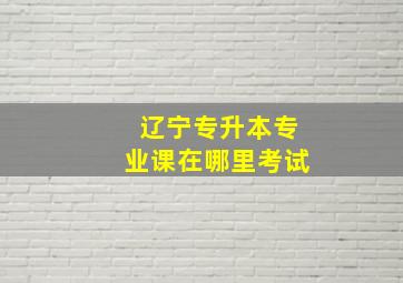 辽宁专升本专业课在哪里考试