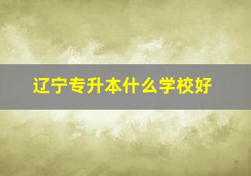 辽宁专升本什么学校好