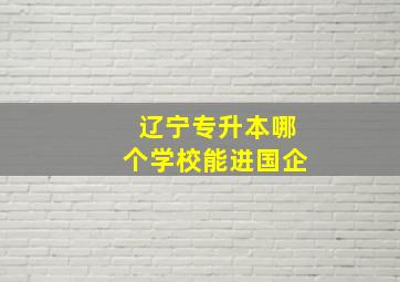 辽宁专升本哪个学校能进国企