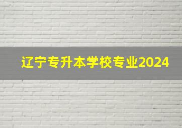 辽宁专升本学校专业2024