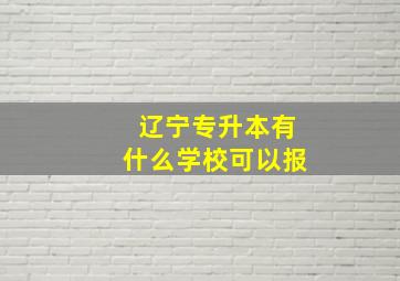 辽宁专升本有什么学校可以报