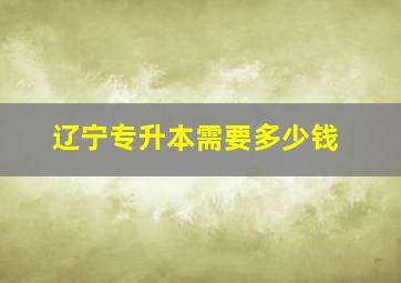 辽宁专升本需要多少钱